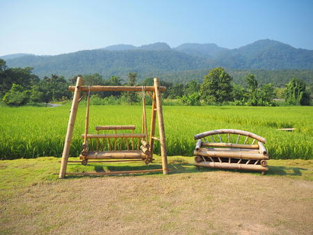 Swing made of bamboo and rice fields.の写真素材