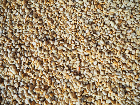 Dried coffee beans are white.