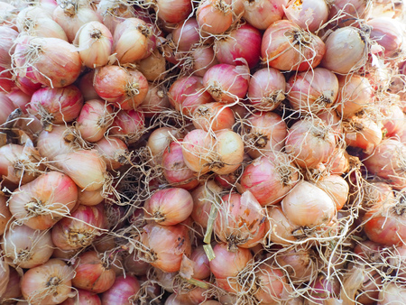 Shallots on the wooden table.の写真素材