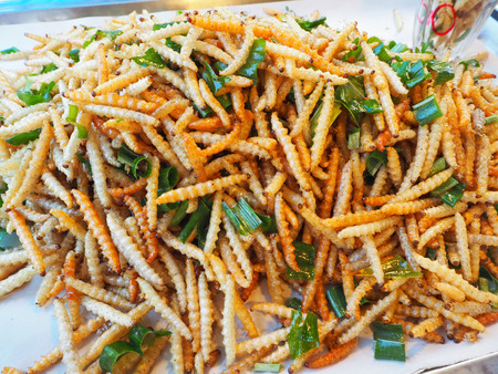 Worm eat bamboo Are combined in a dishの写真素材