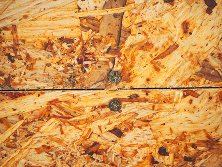 The plywood wall is yellow.の写真素材