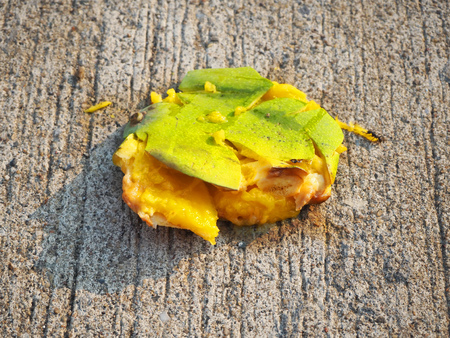 Mango fruit on the road.の写真素材