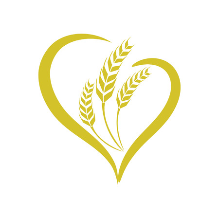 wheat vecterのイラスト素材