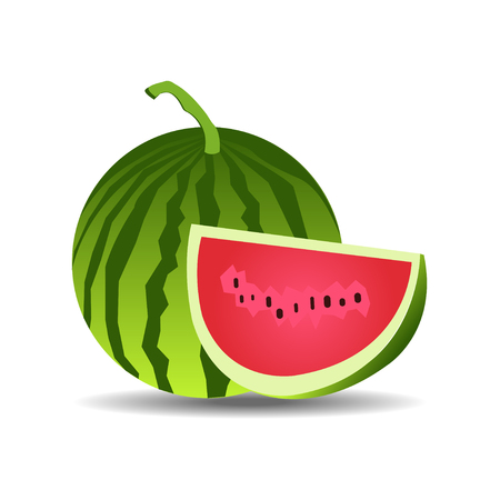 watermelonのイラスト素材