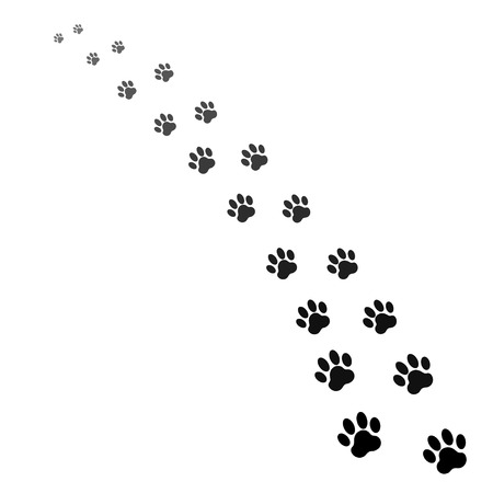 footprints of dogのイラスト素材