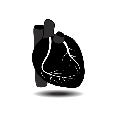 vector of Human heartのイラスト素材