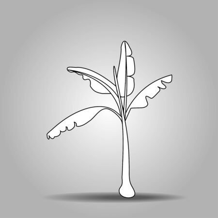 banana treeのイラスト素材