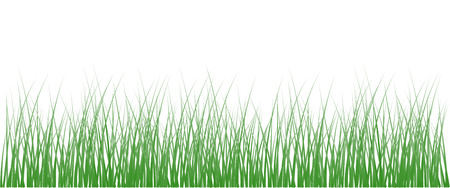 Meadow on whiteのイラスト素材