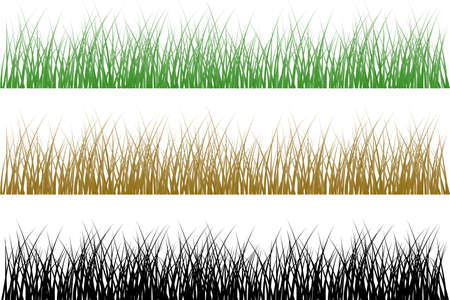 Meadow on white のイラスト素材