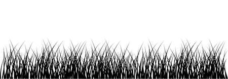 Meadow on white のイラスト素材