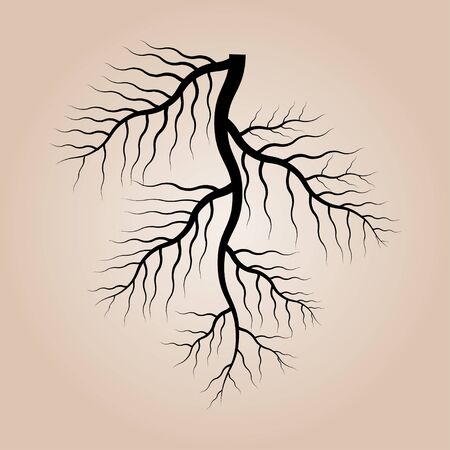 roots on brown のイラスト素材