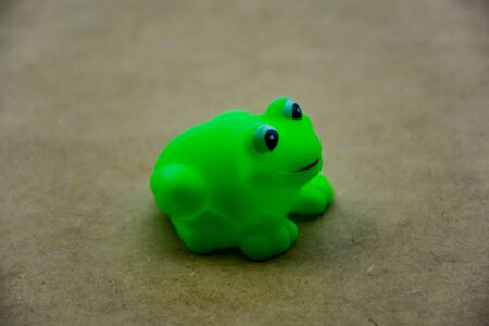 Green rubber frogの写真素材