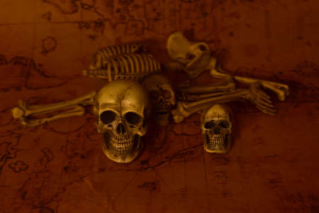 still life with skull,selective focus