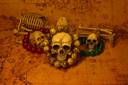 still life with skull,selective focusの写真素材