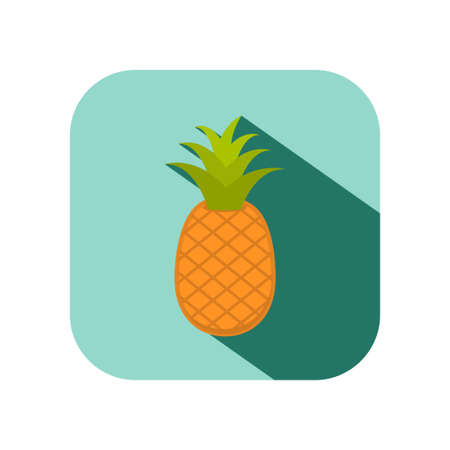 pineapple fruit with long shadowのイラスト素材