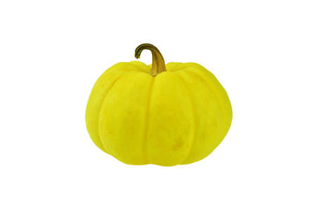 pumpkin isolated on white backgroundの写真素材