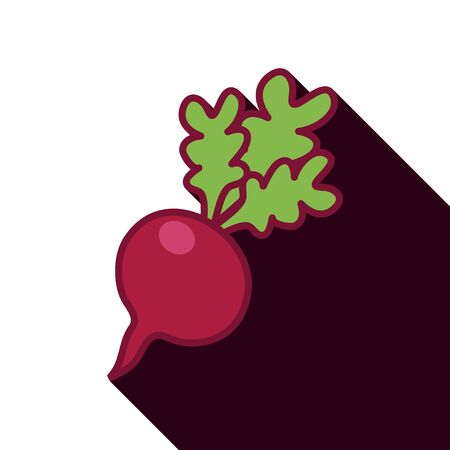 Carrot with long shadowのイラスト素材