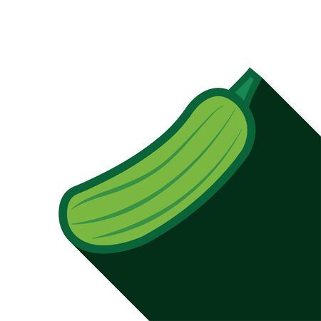 Cucumber with long shadowのイラスト素材