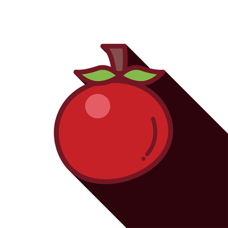 Red tomato with long shadowのイラスト素材