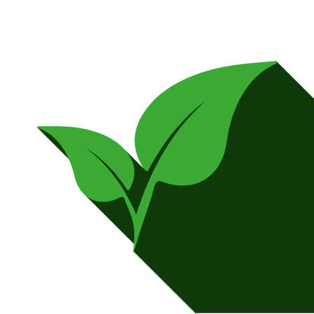 Vector of plant with long shadow on white backgroundのイラスト素材
