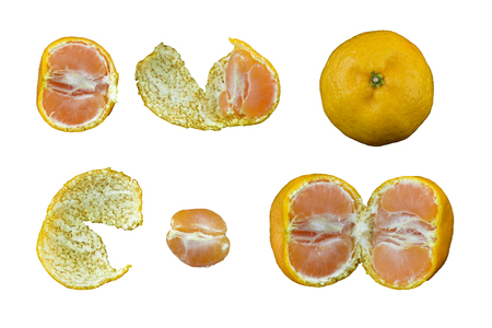 set of orange isolated on white backgroundの写真素材