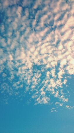 Skyの素材