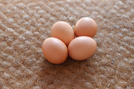 fresh egg on the strawの写真素材