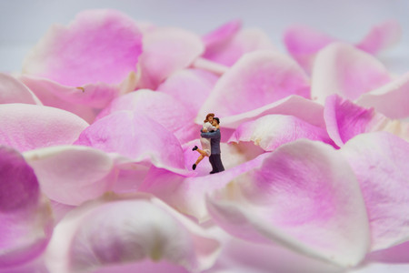 miniature couple embracing each other on pink rose petals.の写真素材