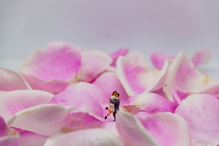 miniature couple embracing each other on pink rose petals.の写真素材