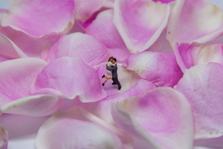 miniature couple embracing each other on pink rose petals.の写真素材