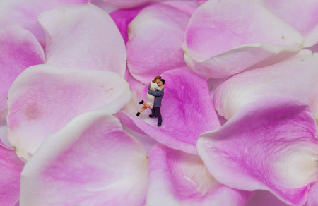 miniature couple embracing each other on pink rose petals.の写真素材