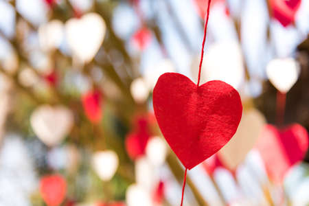 Red and white heart-shaped paper was tied by a string to hang on the tree for Valentine's Day love festival.の写真素材