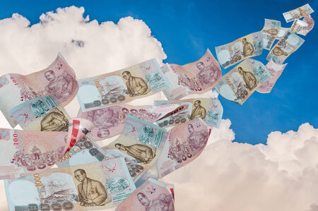 money fly on sky
