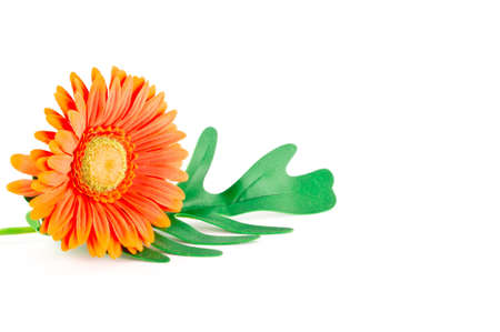 artificial chrysanthemum flower isolated on whiteの写真素材