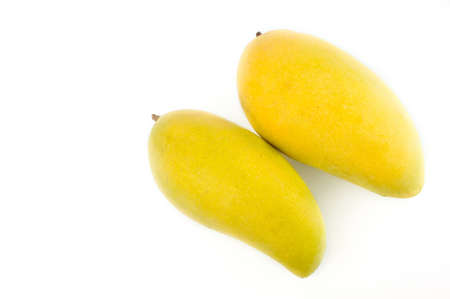 two mangoes isolated on whiteの写真素材