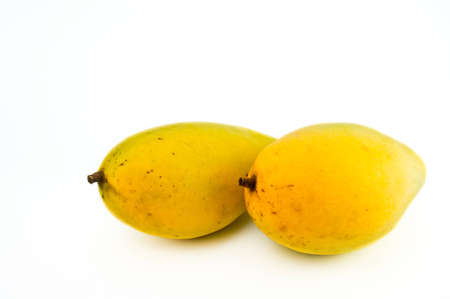 two mangoes isolated on whiteの写真素材