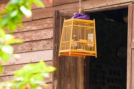bird cage near window at the thai villageの写真素材