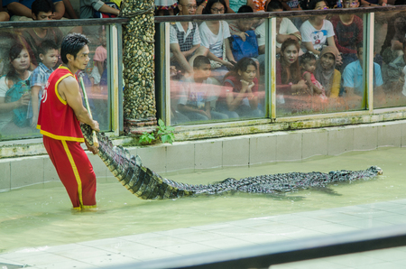 Phuket, Thailand - January 14: The show with the man and crocodile show for people and traveller to see at the phuket zoo. on January 14,2017 at the zoo in Phuket, Thailand.のeditorial素材