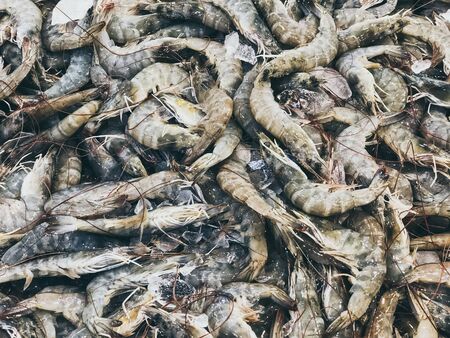 Fresh frozen shrimp sold in supermarketsの写真素材