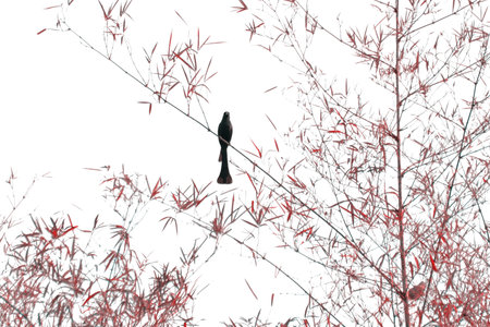 Solitary bird perched on bamboo tree branch against tranquil sky, capturing the essence of solitude and peacefulness in a minimalist landscape photograph.の写真素材