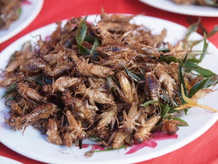 Dish of fried insects as food