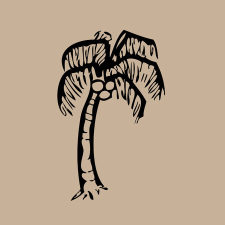 Coconut tree drawing cartoon vectorのイラスト素材