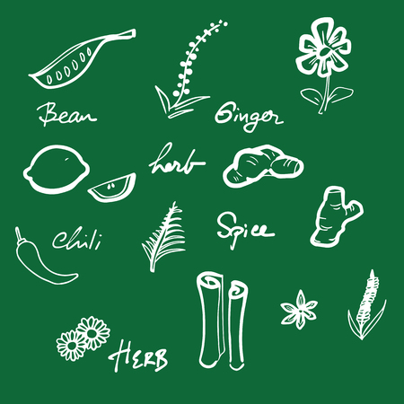 Handwriting blackboard herbs and spiceのイラスト素材