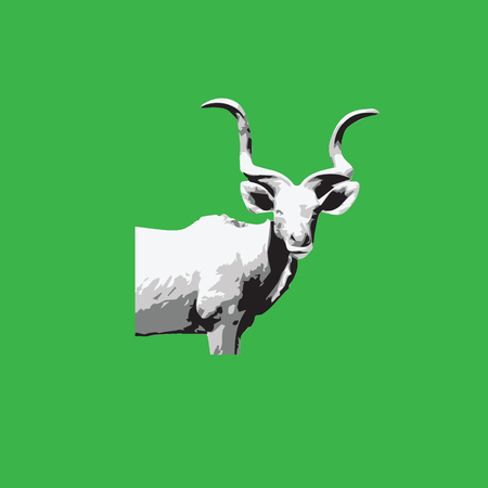 Animal mountain goat graphic photoのイラスト素材