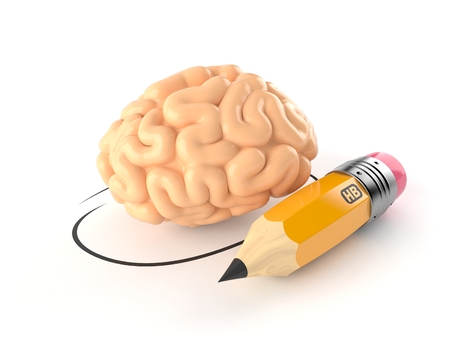 Brain with pencil isolated on white background. 3d illustrationの写真素材