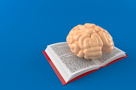 Brain on open book isolated on blue background. 3d illustrationの写真素材