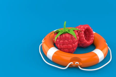 Raspberry with life buoy isolated on blue background. 3d illustration