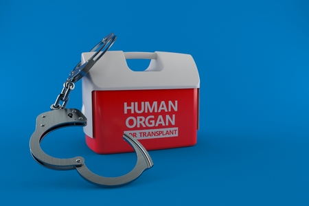 Cooler for human organ with handcuffs isolated on blue background. 3d illustrationの写真素材