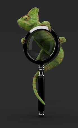 Chameleon climbs on magnifying glass on grey background. 3d illustrationの写真素材