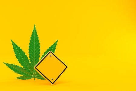 Cannabis leaf with blank road sign isolated on orange background. 3d illustrationの写真素材